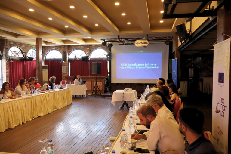 Information Literacy, Agenda Setting and Digital Youth Advocacy Training