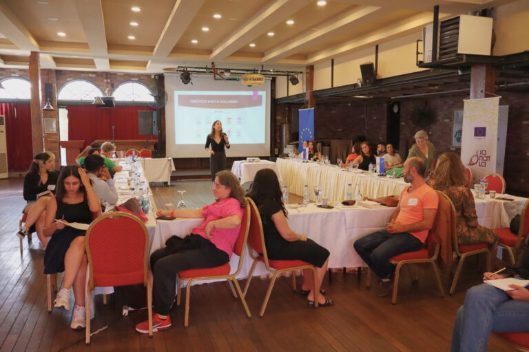 Information Literacy, Agenda Setting and Digital Youth Advocacy Training